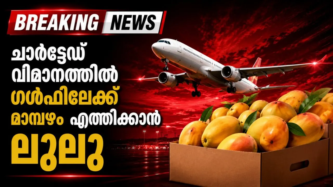ചാർട്ടേഡ് വിമാനത്തില്‍ ഗള്‍ഫിലേക്ക് മാമ്പഴം എത്തിക്കാന്‍ ലുലു