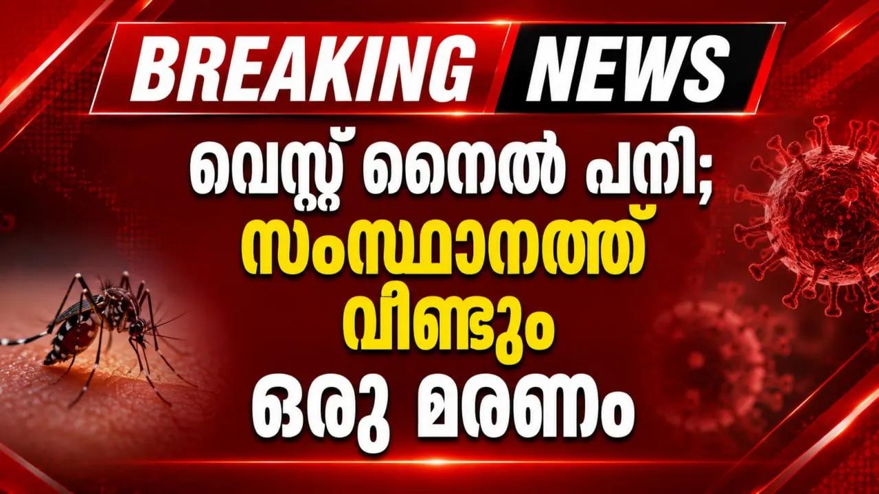 വെസ്റ്റ് നൈൽ പനി; സംസ്ഥാനത്ത് വീണ്ടും ഒരു മരണം
