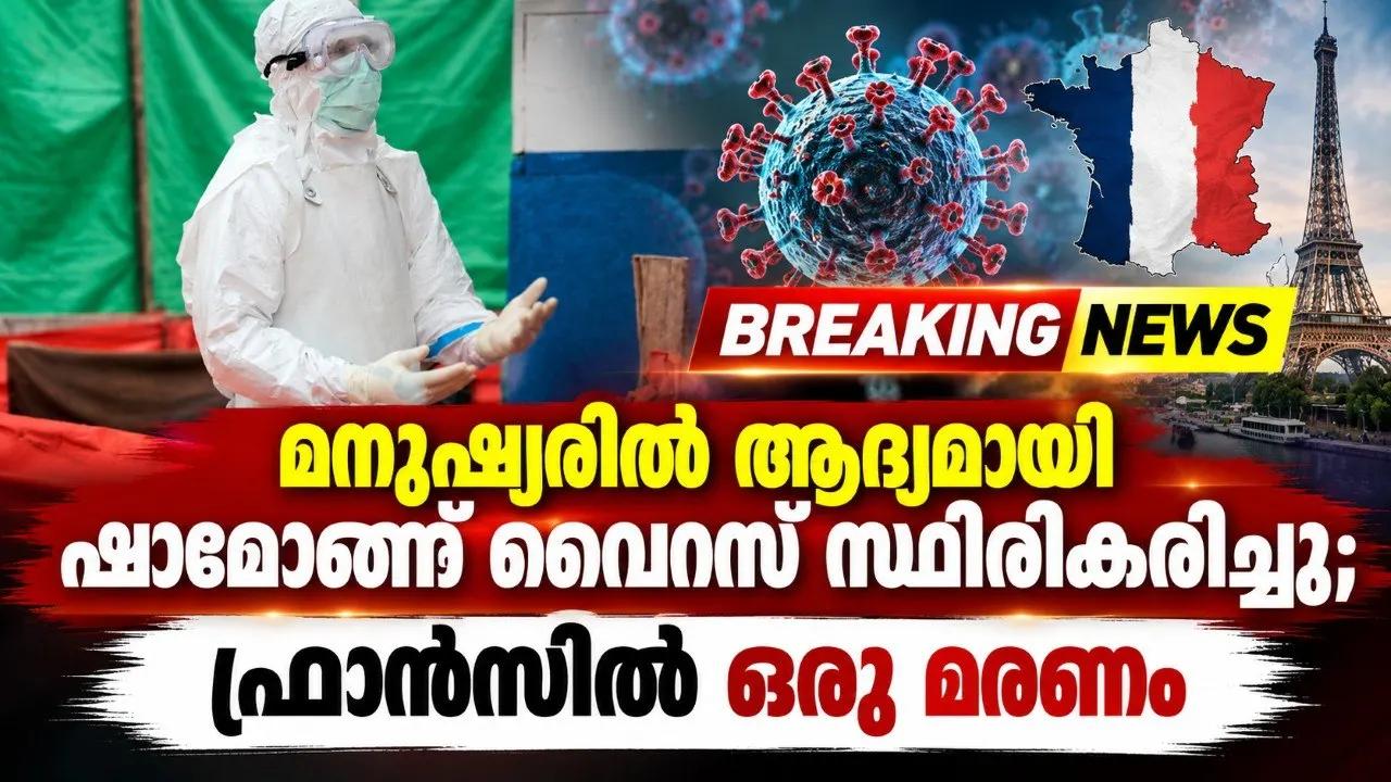 മനുഷ്യരിൽ ആദ്യമായി ഷാമോണ്ട വൈറസ് സ്ഥിരീകരിച്ചു; ഫ്രാൻസിൽ ഒരു മരണം