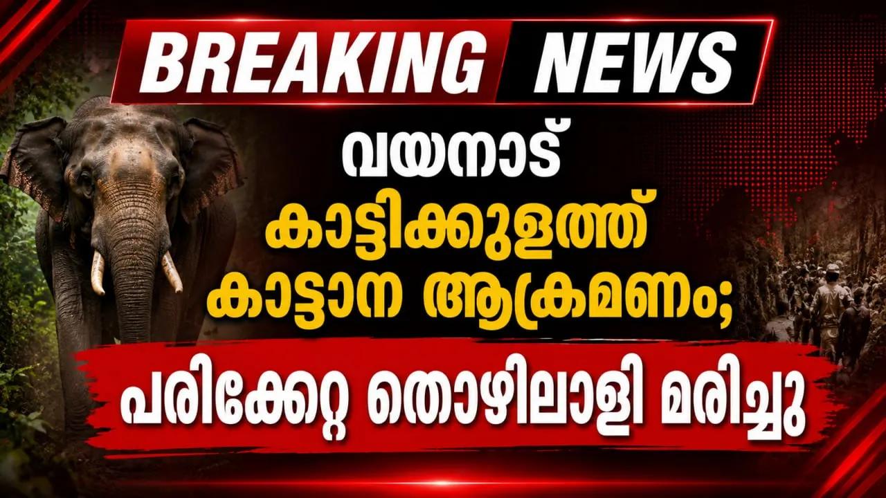 വയനാട് കാട്ടിക്കുളത്ത് കാട്ടാന ആക്രമണം; പരിക്കേറ്റ തൊഴിലാളി മരിച്ചു