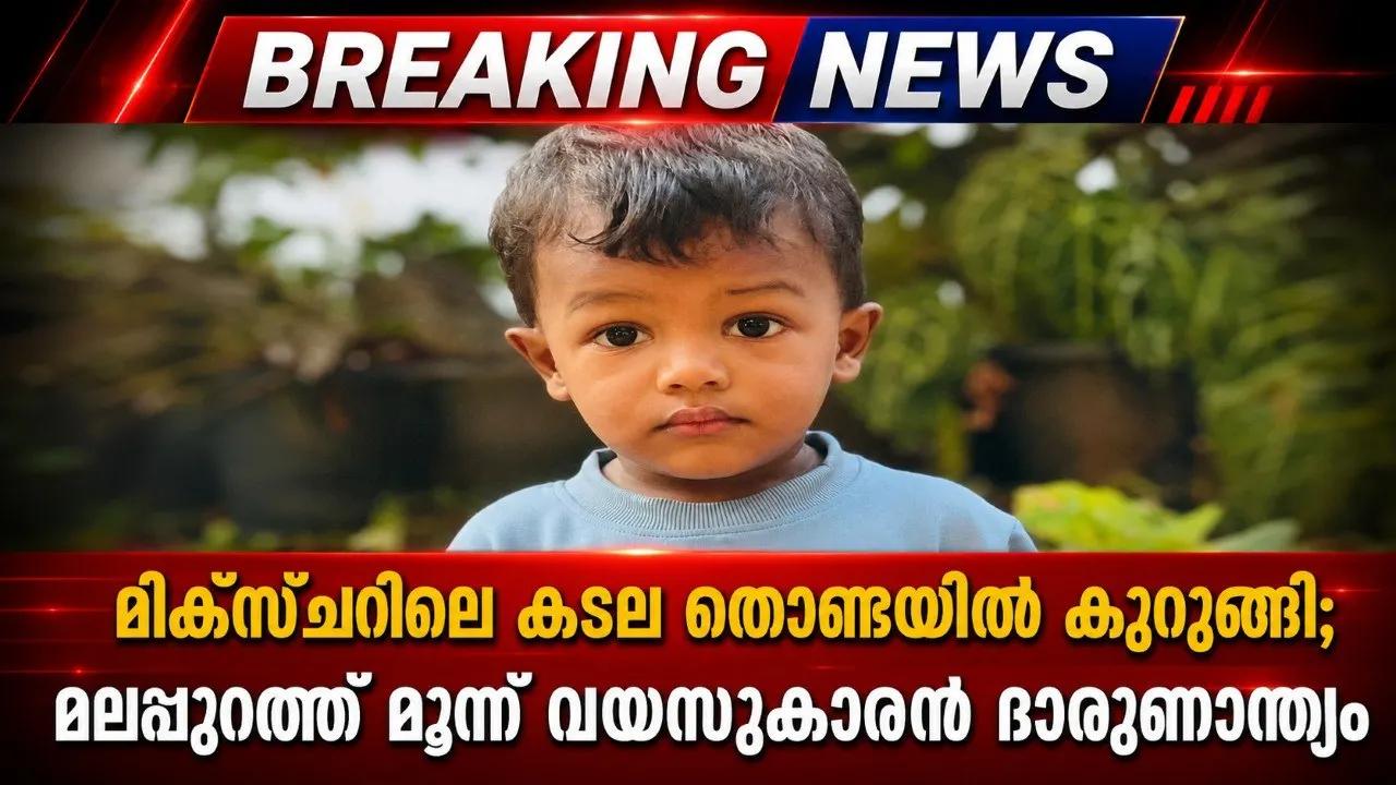 മിക്സ്ചറിലെ കടല തൊണ്ടയില് കുരുങ്ങി; മലപ്പുറത്ത് മൂന്ന് വയസുകാരന് ദാരുണാന്ത്യം