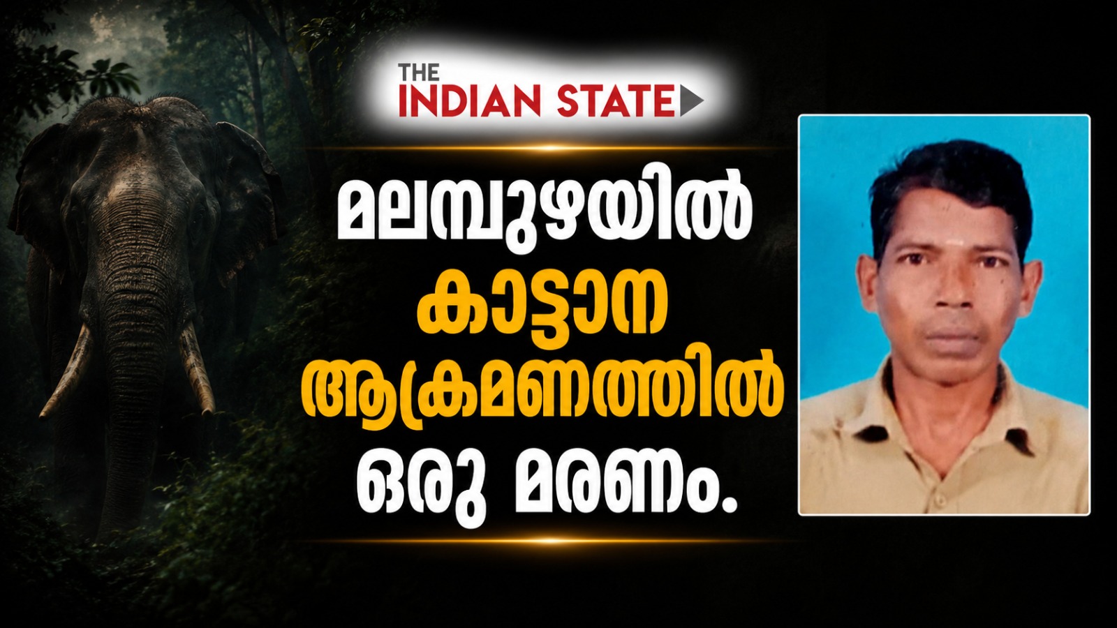 The Indian State